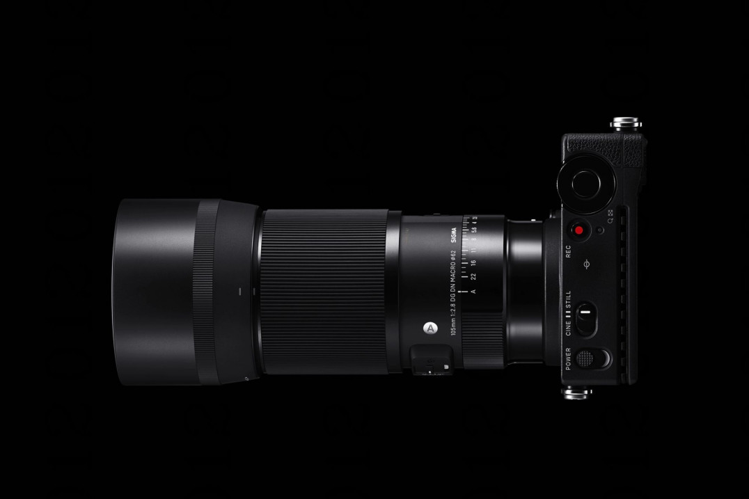 Sigma 105 mm f/2.8 DG DN Macro Art - klasyczne szkło makro do pełnoklatkowych bezlusterkowców