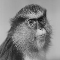 Polacy nagrodzeni w konkursie Sony World Photography Awards 2012