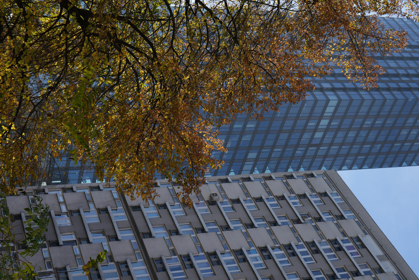 1/200 s, f/8, ISO 100, 60.0 mm