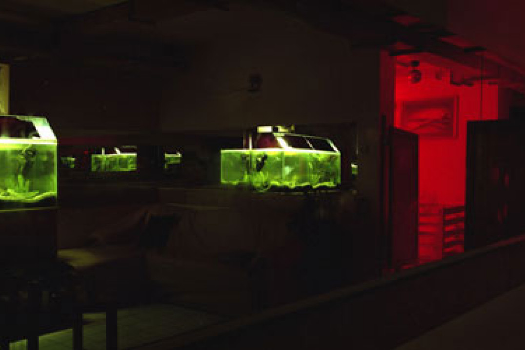 "Darkroom'y" Konrada Pustoły w Zamku Ujazdowskim