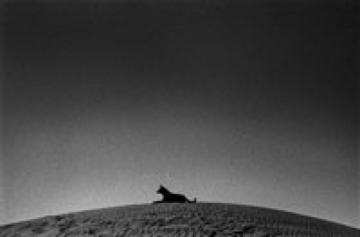 Fotografia tradycyjna, czyli powrót do źródeł