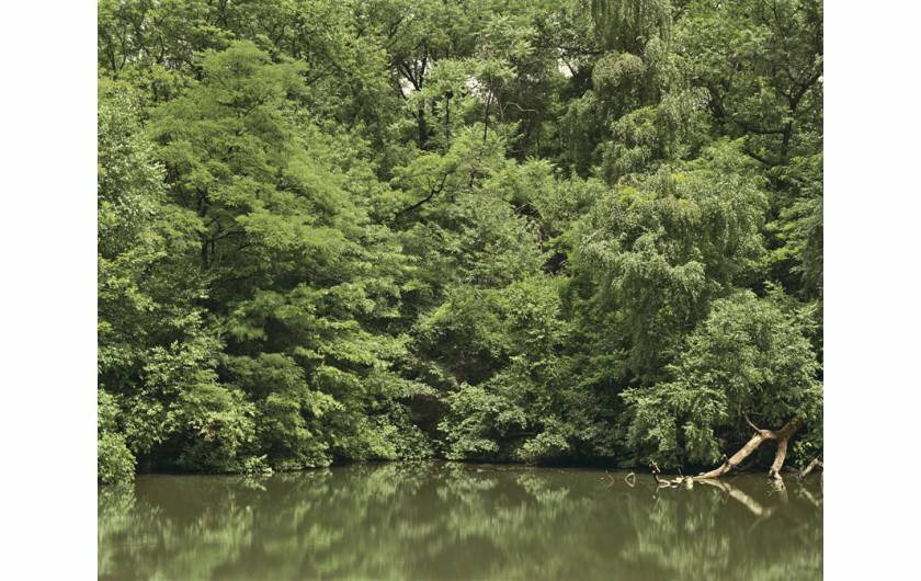 Trevor Paglen, Gęsto porośnięte wybrzeże, 2012 (c) Trevor Paglen