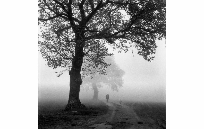 fot. Małgorzata Szura Piwnik, A Walk in the Fog, 2. Miejsce w kat. Analog: Landscape / IPA 2020