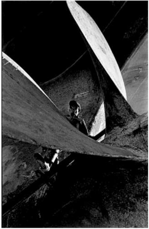 Tomasz Gudzowaty  i Judit Berekai wyróżnieni w konkursie Best of Photojournalism 2006