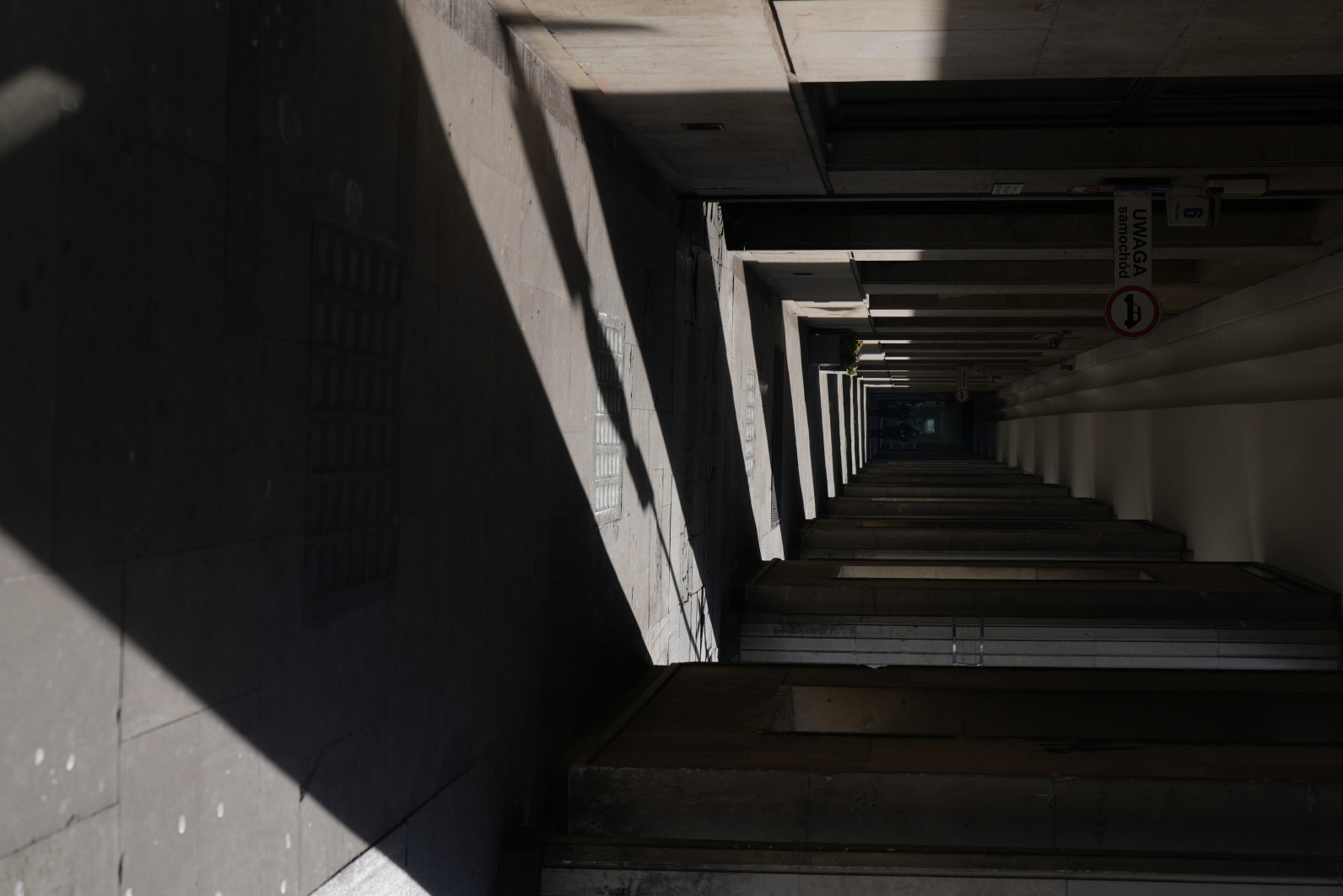 1/1250 s, f/5.6, ISO 200, 60.0 mm