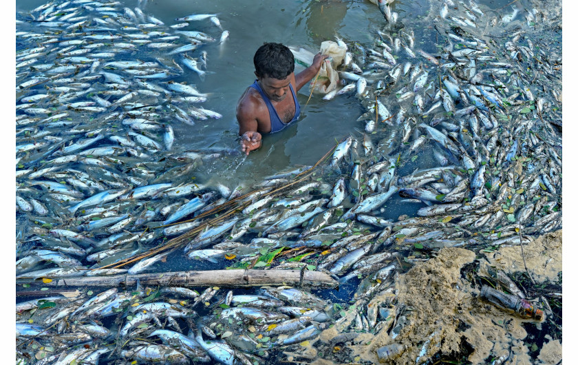 fot. Subrata Dey, Death of Hope