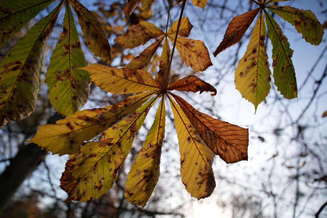 1/800 s, f/2.8, ISO 100, 24.0 mm