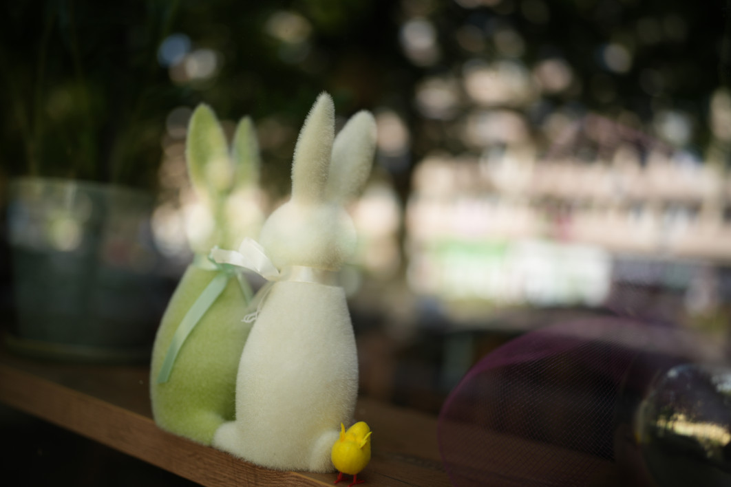 1/500 s, f/1.2, ISO 100, 35.0 mm