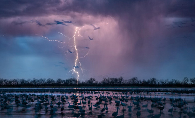  Oto najlepsze zdjęcia 2016 roku wybrane przez National Geographic