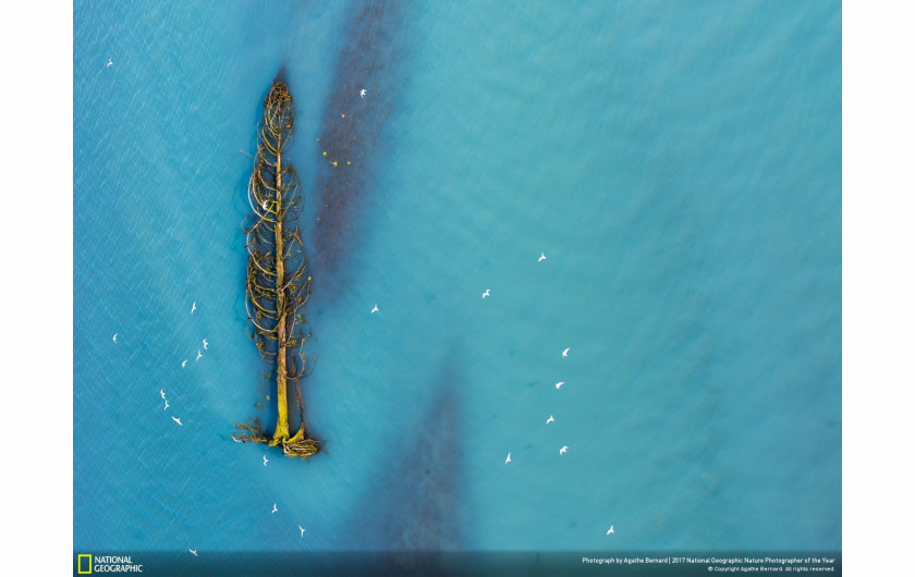 © Agathe Bernard - wyróżnienie w kategorii Aerials