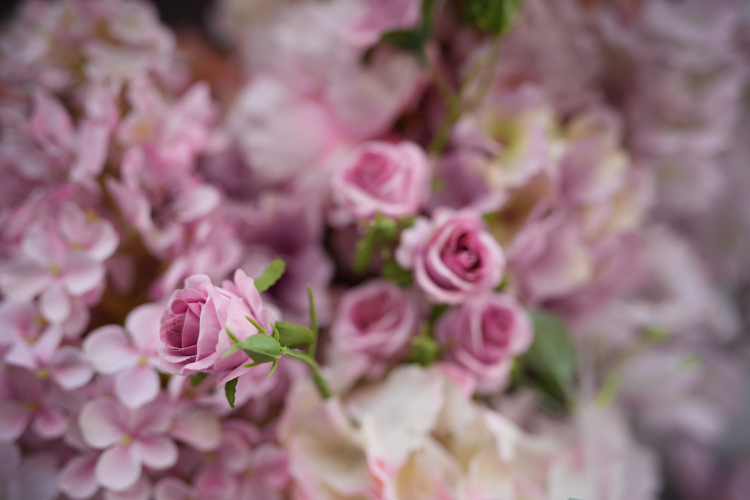 1/500 s, f/1.8, ISO 100, 35.0 mm