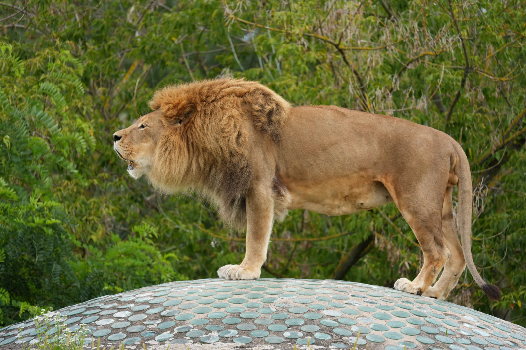 1/400 s, f/8, ISO 800, 400 mm