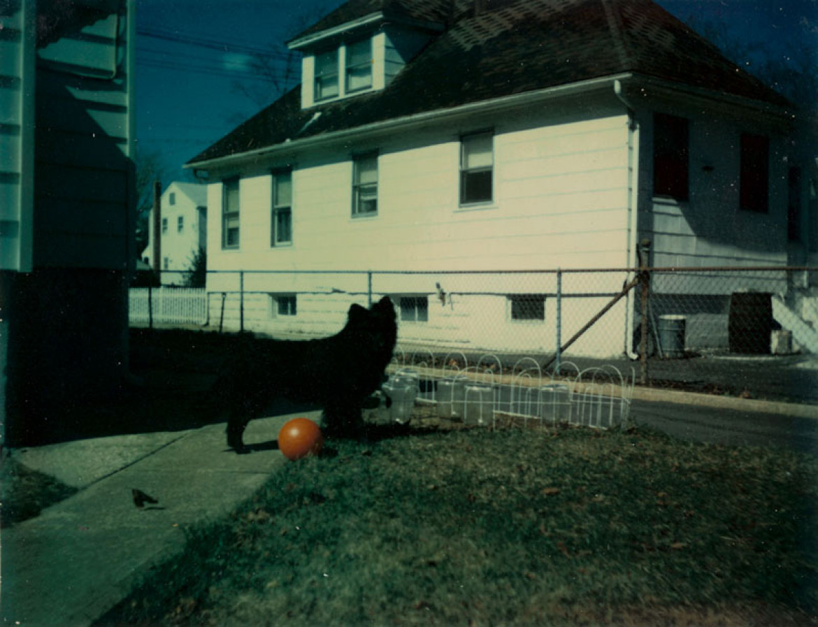 “in almost every picture” #9