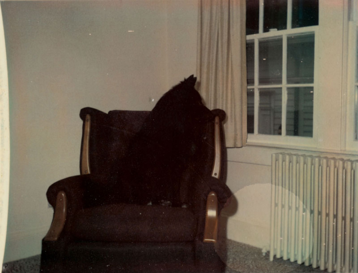 “in almost every picture” #9
