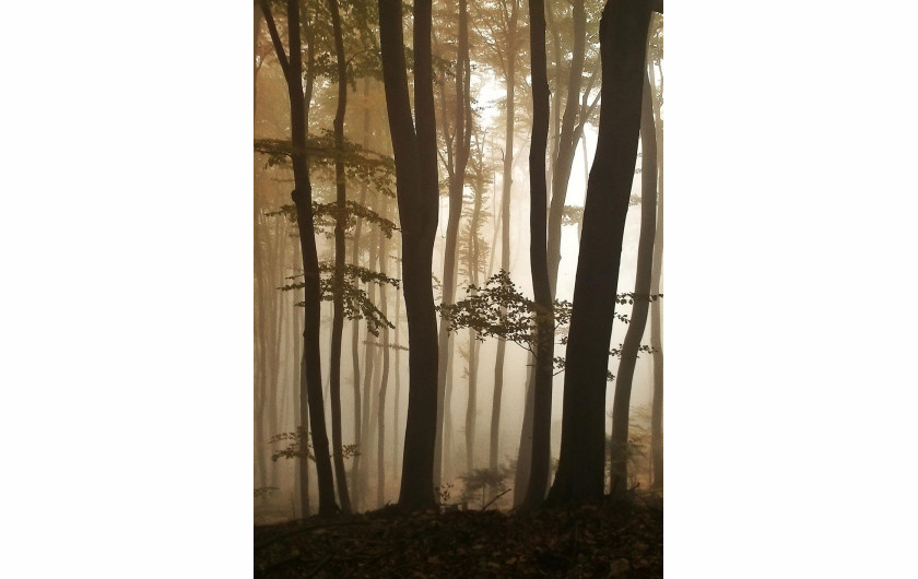 Paweł Głowacki - finalista kategorii „Nature & Wildlife”