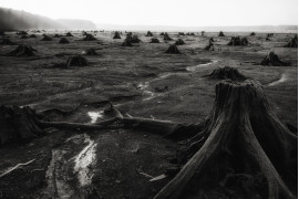 fot. Jan Wieczorek, nominacja w kat. Nature, z serii "Apocalypse"