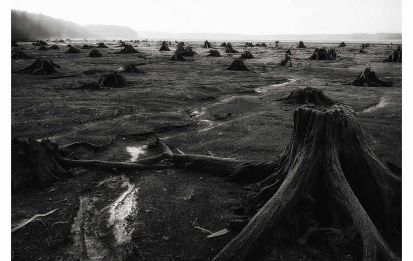 fot. Jan Wieczorek, nominacja w kat. Nature, z serii Apocalypse