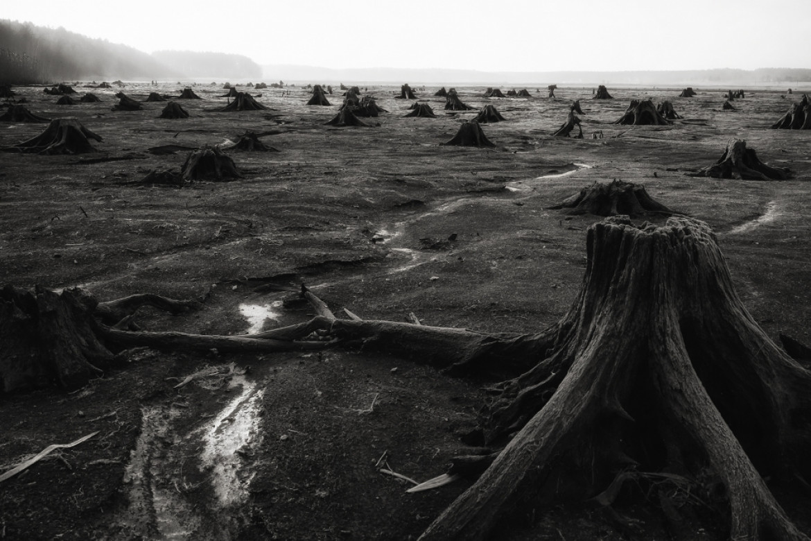 fot. Jan Wieczorek, nominacja w kat. Nature, z serii "Apocalypse"