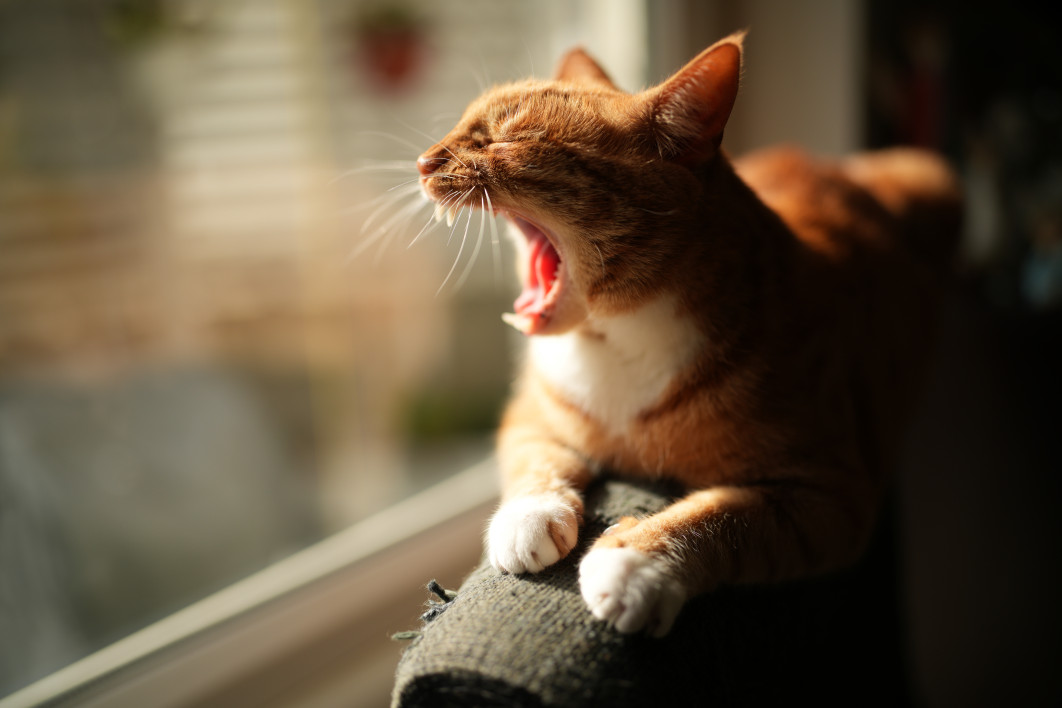 1/3200 s, f/1.2, ISO 100, 35.0 mm