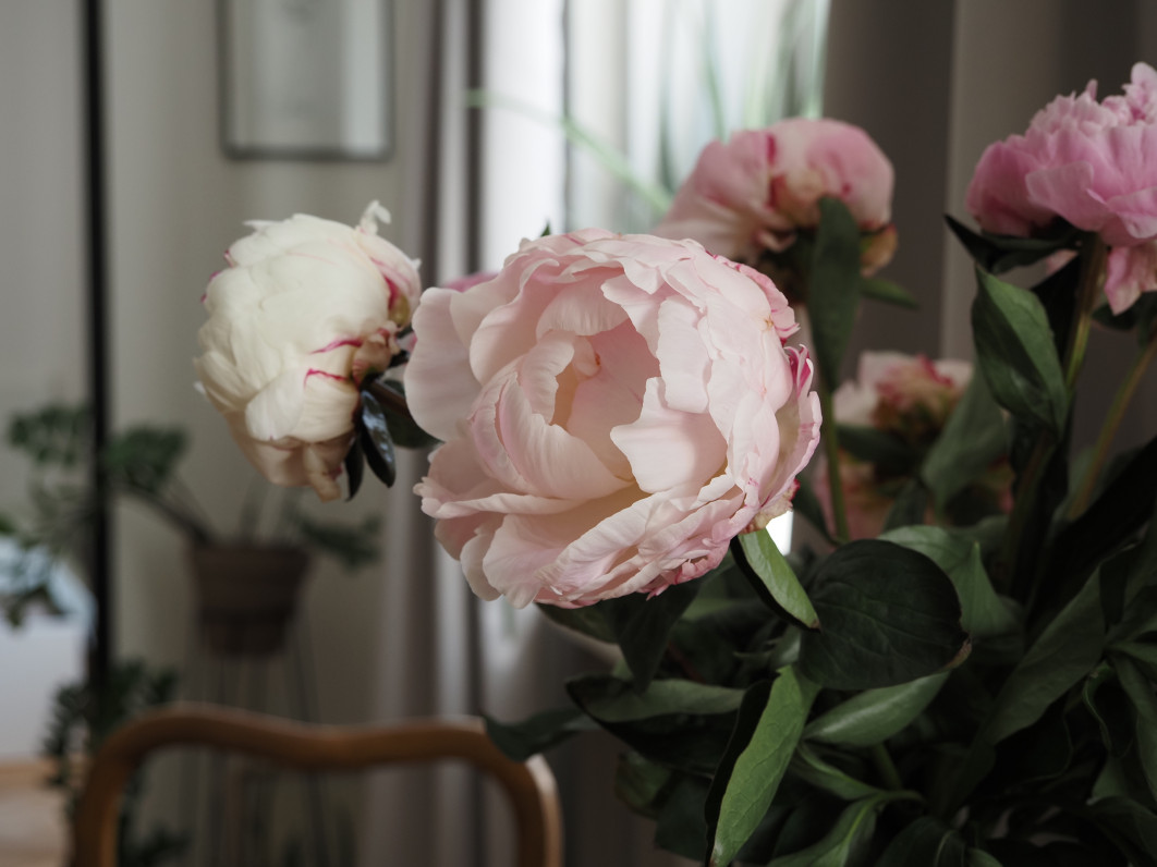 1/60 s, f/4, ISO 320, 27 mm