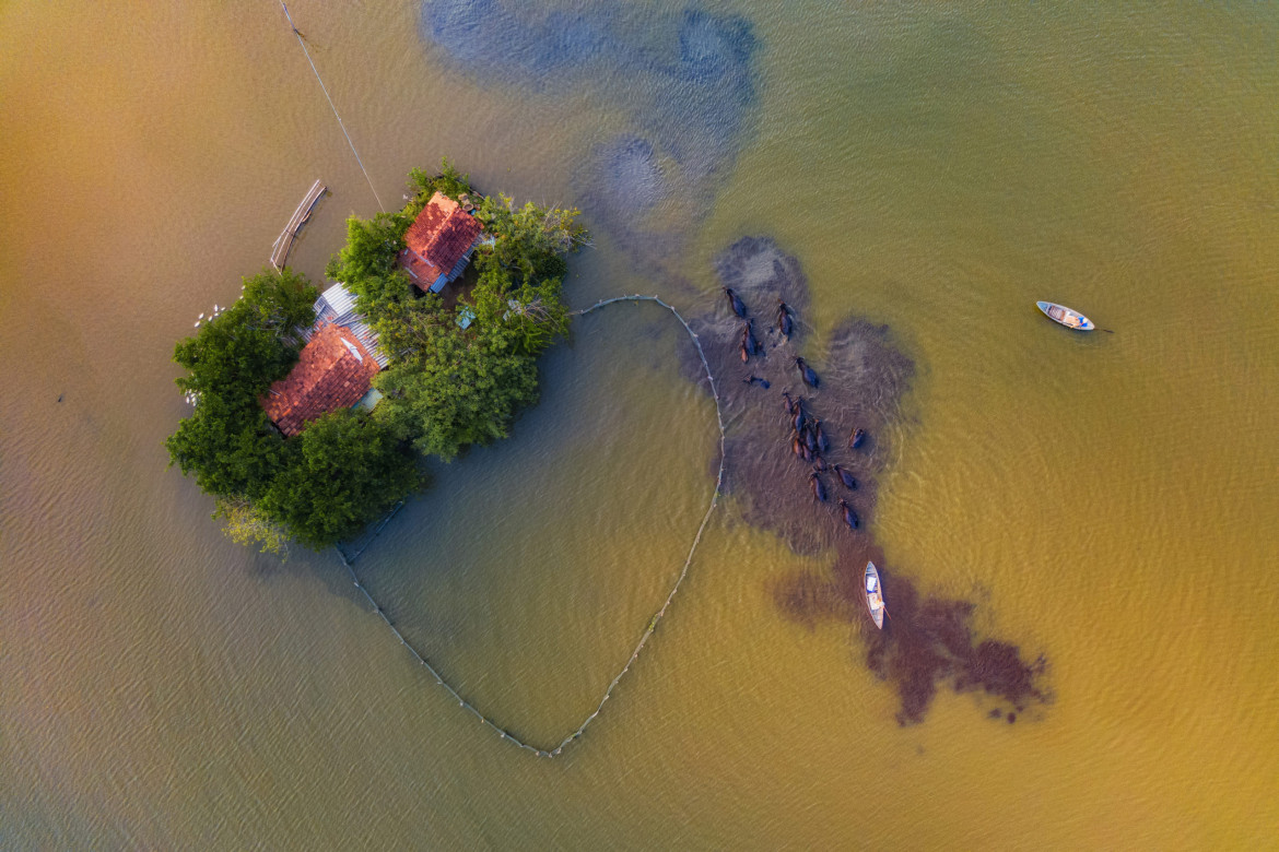 fot. Nguyen Duy Sinh, Heart Shaped House