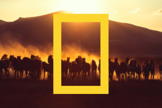 Wystartował Wyjątkowy Konkurs Fotograficzny National Geographic. Do wygrania aparaty, drony, gimbale i akcesoria