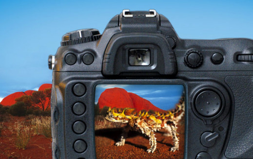 Międzynarodowy konkurs "Photo Advard"