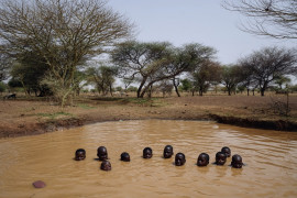 fot. Giles Clark, Burkina Faso / Portrait of Humanity 2021