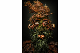 fot. Anna Tokarska, nominacja w kat. Open theme, "Arcimboldiana #11"