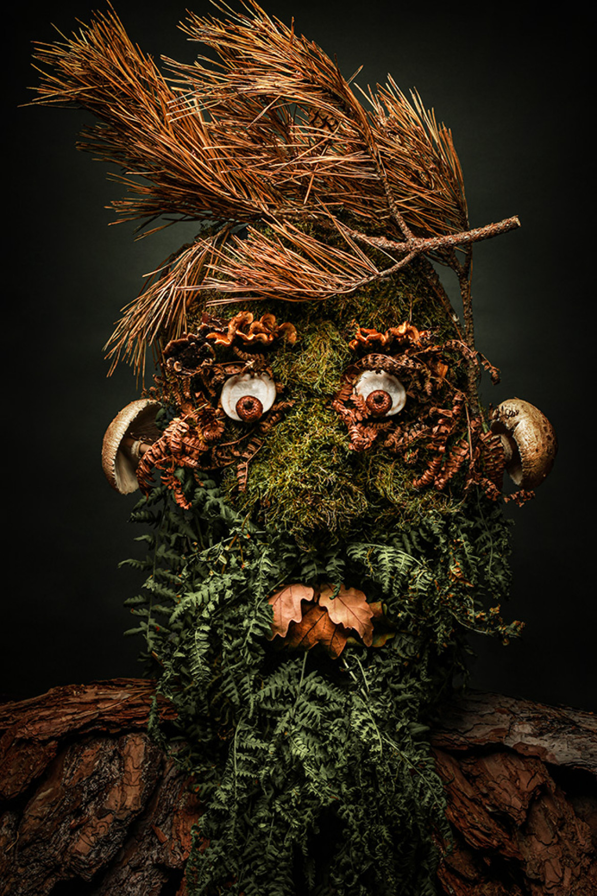 fot. Anna Tokarska, nominacja w kat. Open theme, "Arcimboldiana #11"