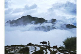 fot. Yongmei Wang, "Walking in Clouds", 1. miejsce w kategorii Nature & Wildlife