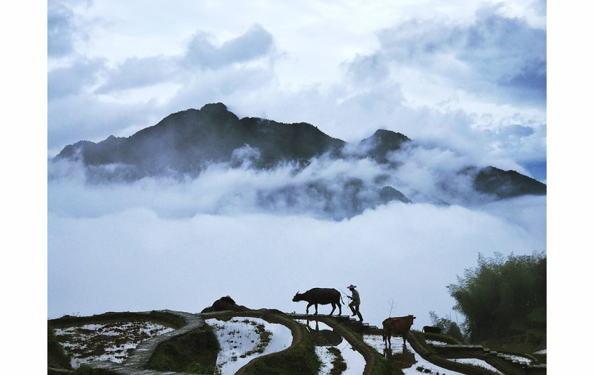 fot. Yongmei Wang, Walking in Clouds, 1. miejsce w kategorii Nature & Wildlife