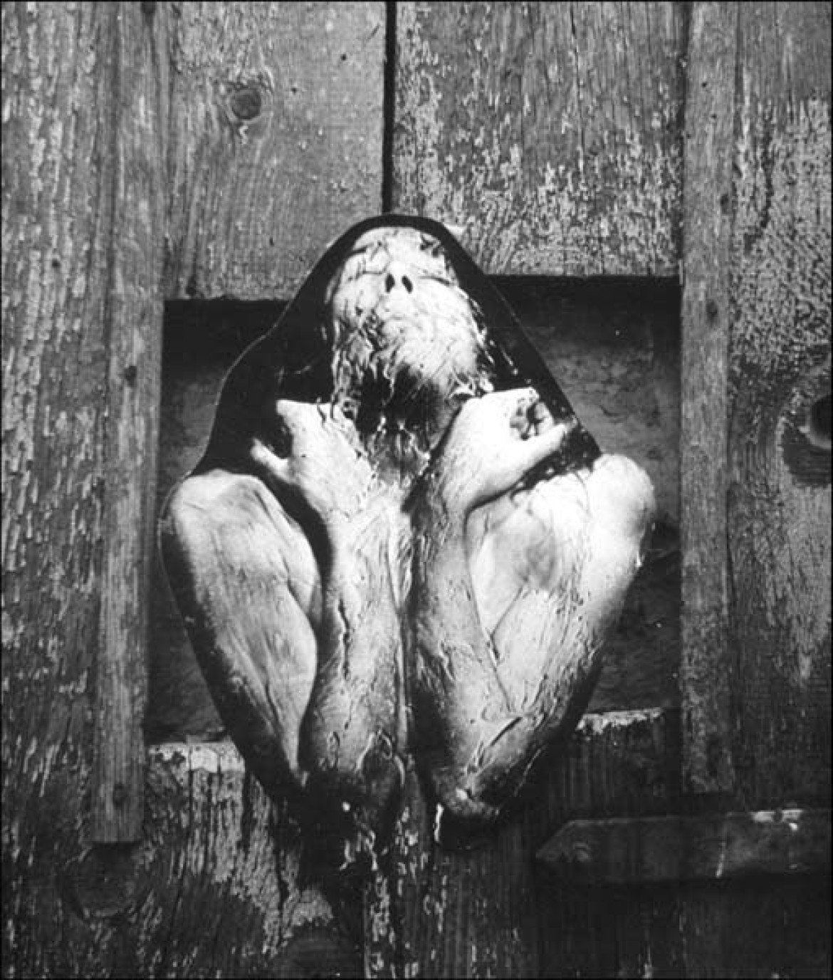 fot. Andrzej Dudek-Dürer