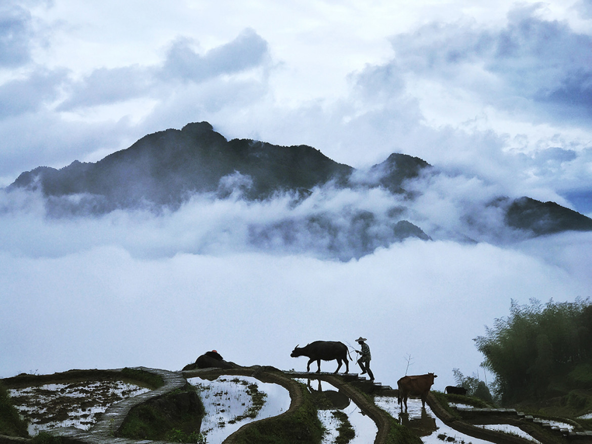 fot. Yongmei Wang, "Walking in Clouds", 1. miejsce w kategorii Nature & Wildlife