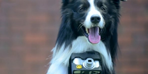 Nikon Heartography - migawka wyzwalana sercem