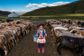 fot. France Leclerc, Mongolia / Portrait of Humanity 2021
