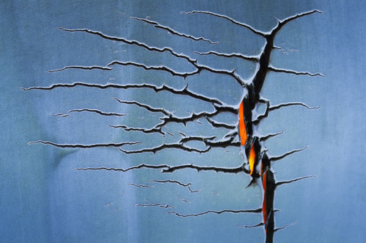 Juan Jesus Gonzalez Ahumada, Hiszpania, Zimny żar, Wildlife Photographer of the Year 2014/ Fotografia dzikiej przyrody 2014