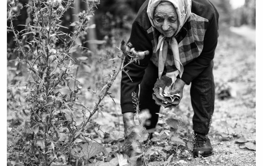 fot. Dominika Koszowska, z cyklu Gathering Herbs, srebro w kategorii Editorial / Photo Essay | Moscow International Foto Awards 2020