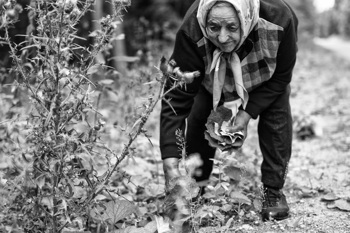 fot. Dominika Koszowska, z cyklu "Gathering Herbs", srebro w kategorii Editorial / Photo Essay | Moscow International Foto Awards 2020