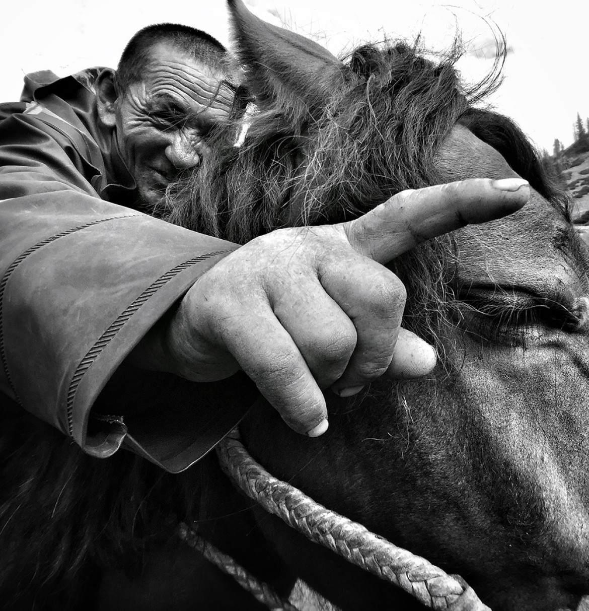 fot. Yongmei Wang, "Born to be a Nomad", 1. miejsce w kategorii People