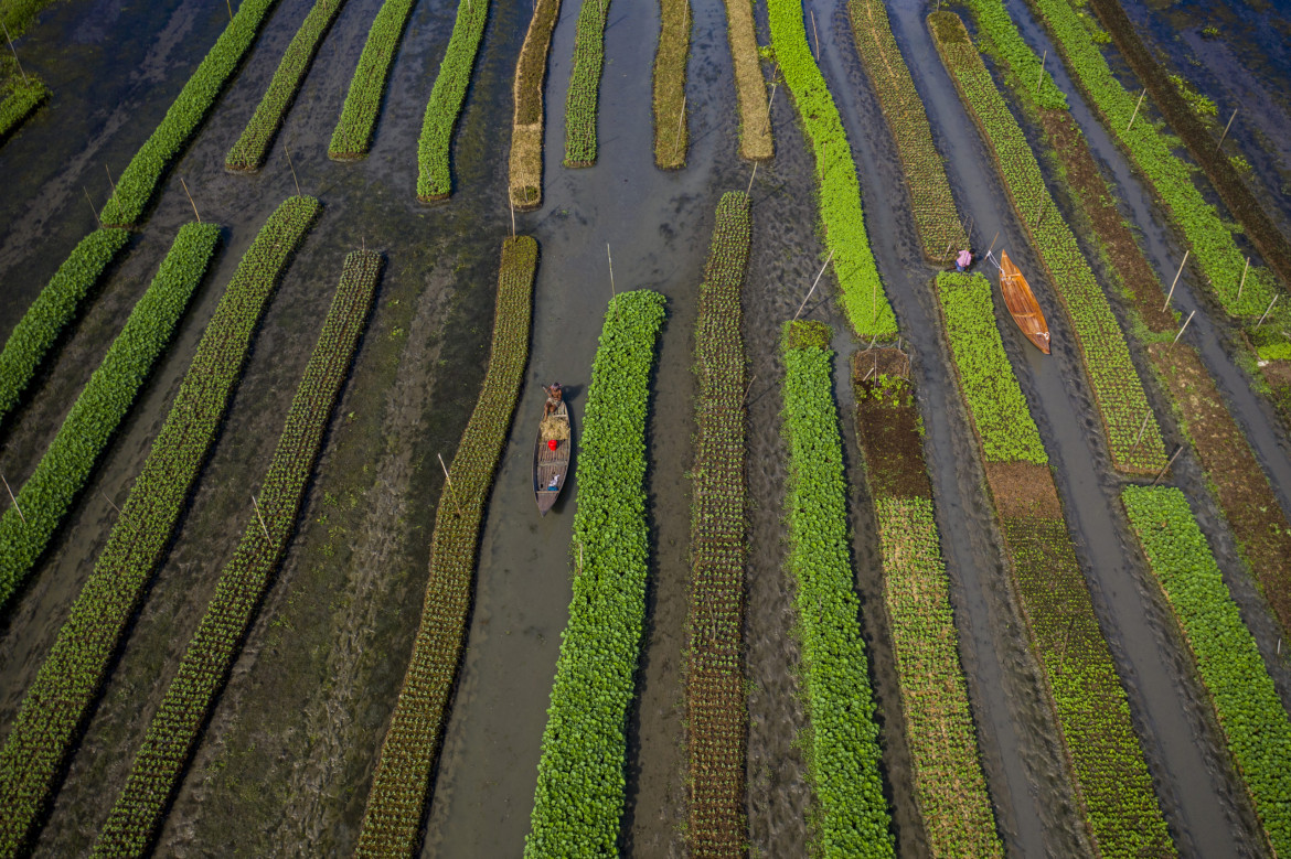 fot. Azim Khan Ronnie, Sustainable agriculture