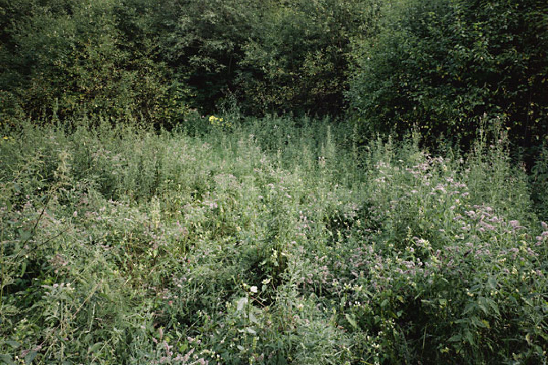 Wystawa Andrzeja Kramarza "Kawałek ziemi" w Galerii Camelot