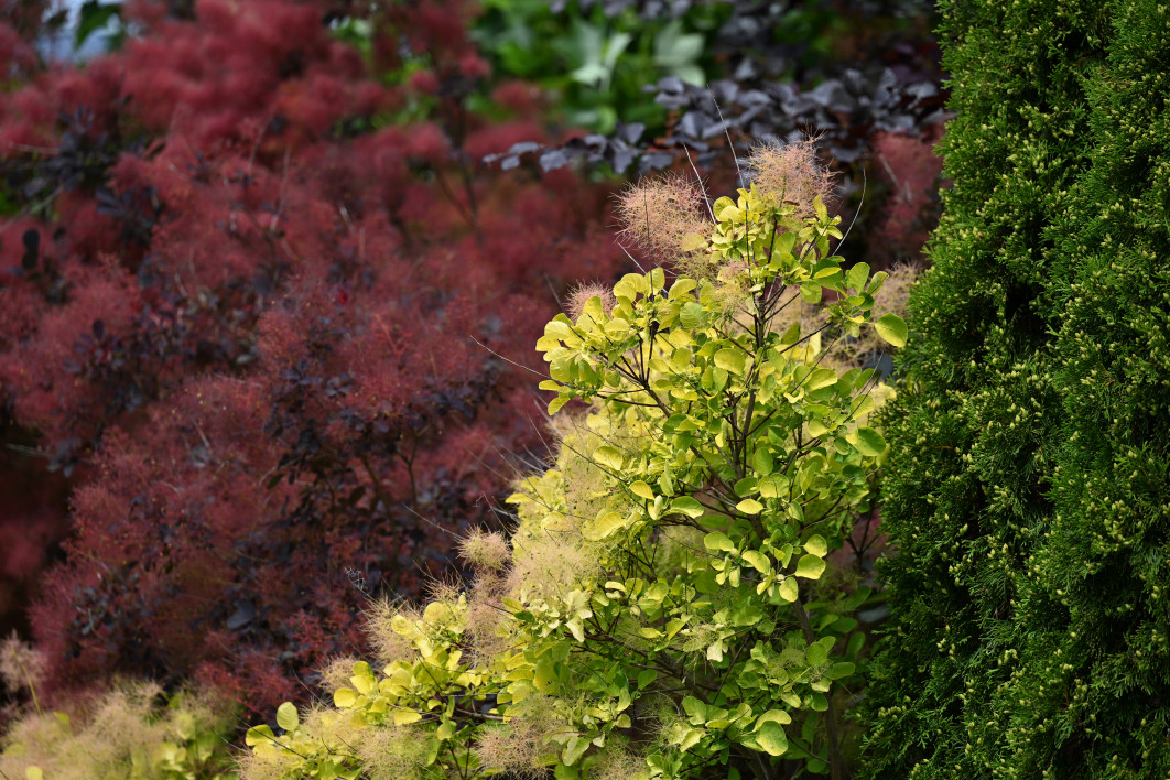 1/800 s, f/4, ISO 100, 200.0 mm