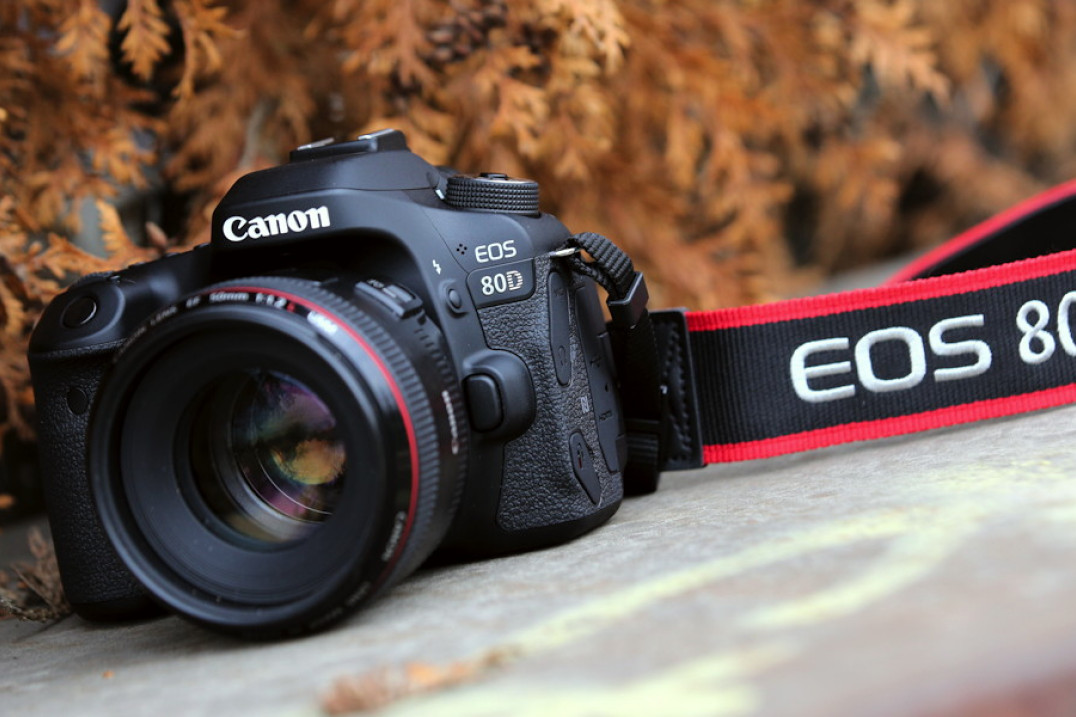 Canon EOS 80D - zdjęcia przykładowe