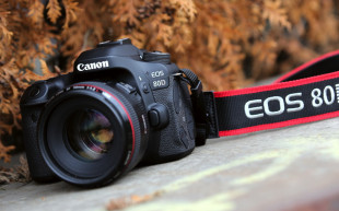 Canon EOS 80D - zdjęcia przykładowe
