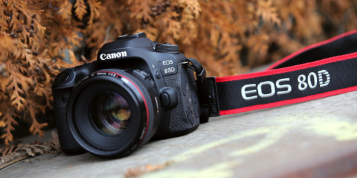 Canon EOS 80D - zdjęcia przykładowe