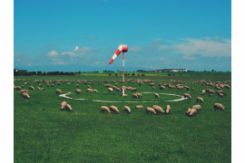 fot. Imagi, "Air Sheep" / Urban Photo Awards 2022