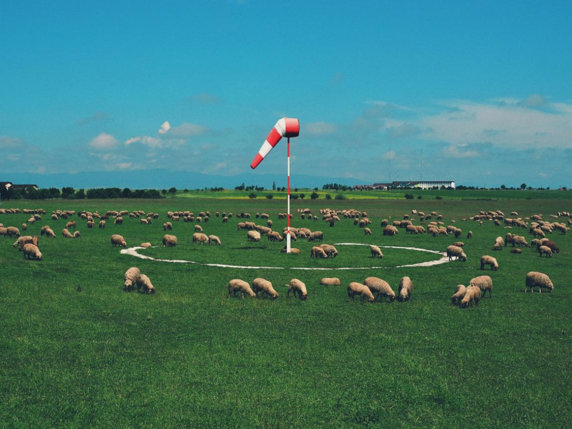 fot. Imagi, "Air Sheep" / Urban Photo Awards 2022
