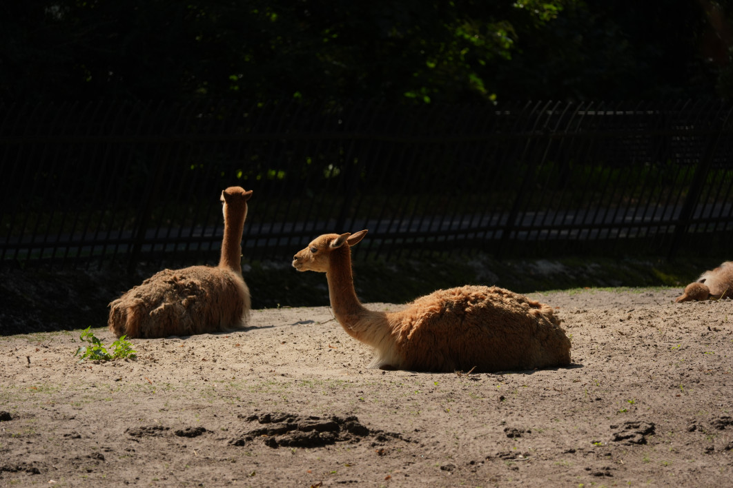 1/640 s, f/8, ISO 320, 400 mm