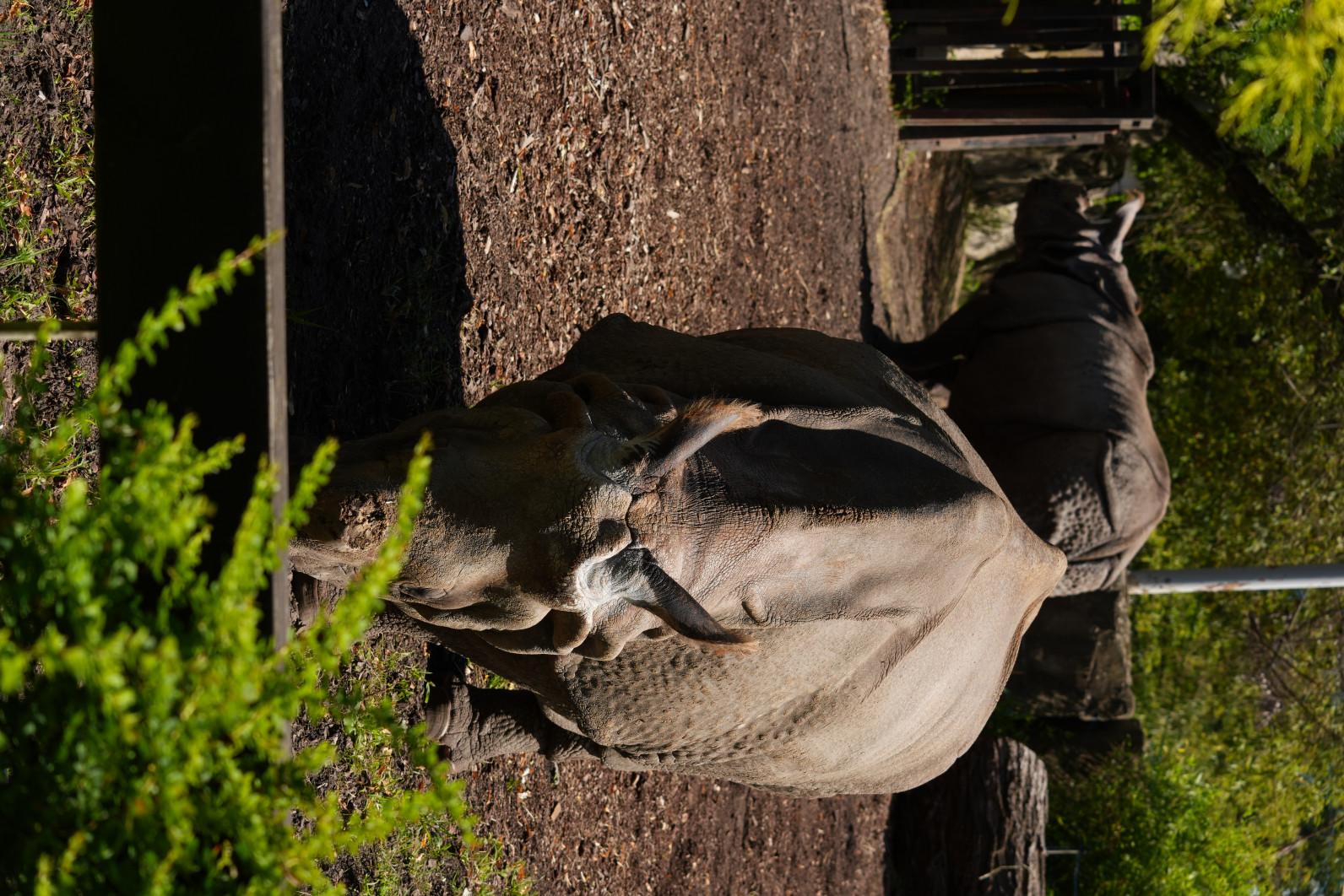 1/640 s, f/8, ISO 320, 100 mm
